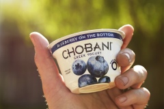 Chobani_House_cream